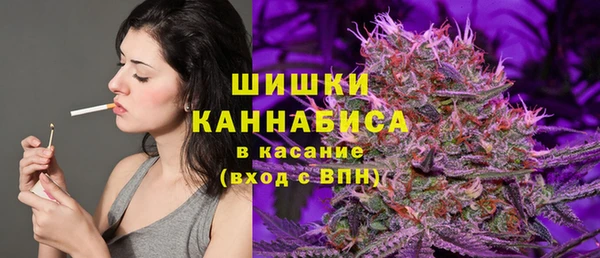 ГАЛЛЮЦИНОГЕННЫЕ ГРИБЫ Арсеньев