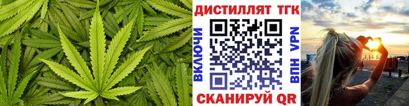 omg дарнет шоп Пыталово Дистиллят ТГК THC oil
